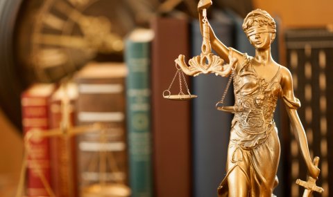 Дело о взыскании с общества предоплату по договору поставки А08-11151/2020 - фото